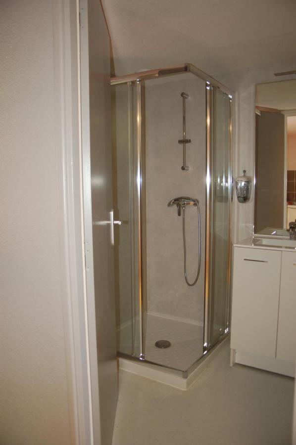 Gite Du Haut Cantal - Appartements Meubles Avec Kitchenette Et Chambres Sans Kitchenette Condat  Ngoại thất bức ảnh