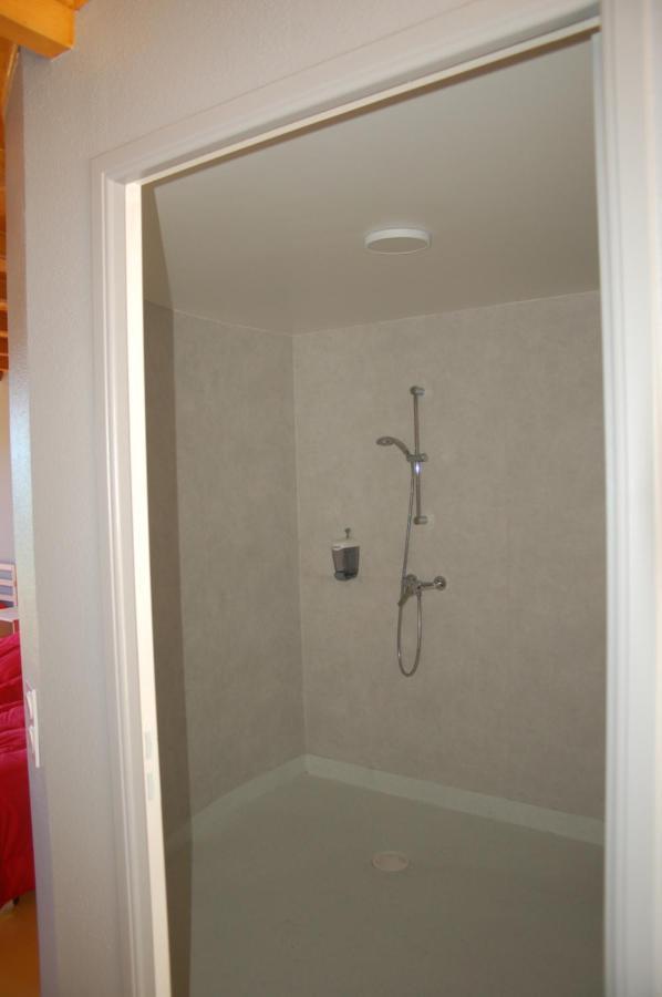 Gite Du Haut Cantal - Appartements Meubles Avec Kitchenette Et Chambres Sans Kitchenette Condat  Ngoại thất bức ảnh